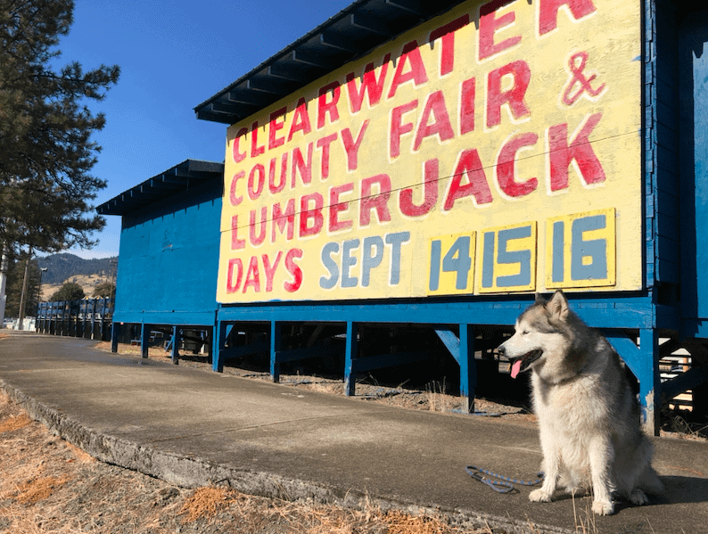 Olive in front of a sign