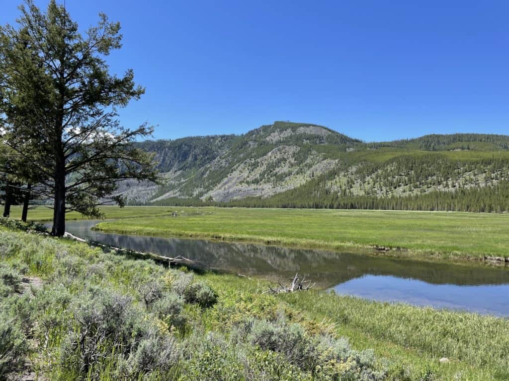 Yellowstone National Park