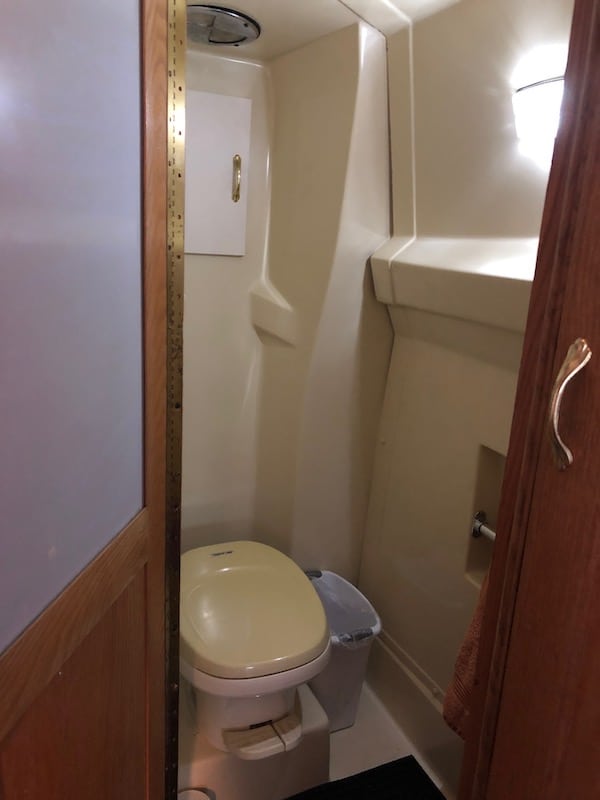 9 Best RV Toilet Chemicals You Need to Know About (2024)