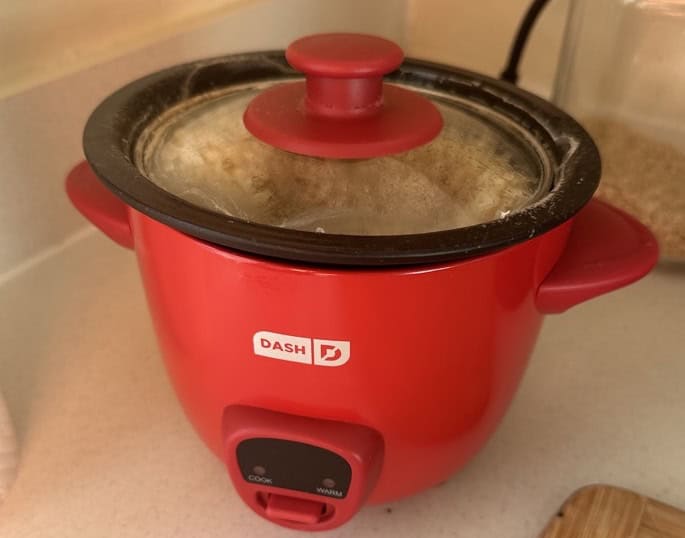 Small Rice Cooker for RV