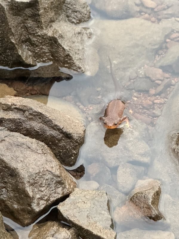 Don't stack rocks for proper campground etiquette